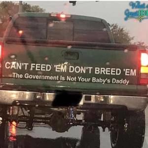 Meet your Posher, Scotty